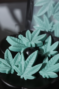 Mint K*sh Type - Close Up